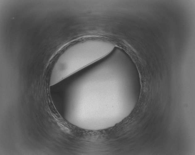 X0000081501208200701121129