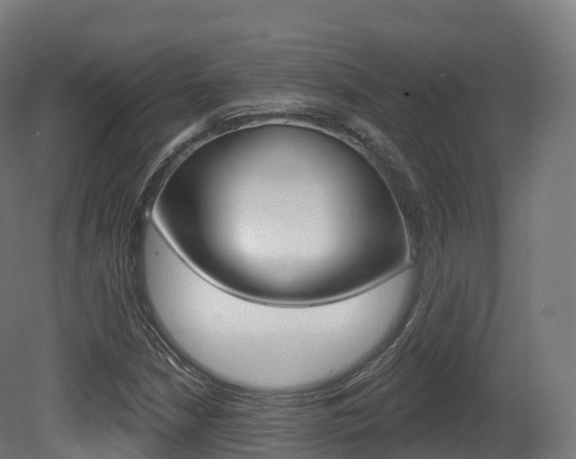 X0000081501210200701121130