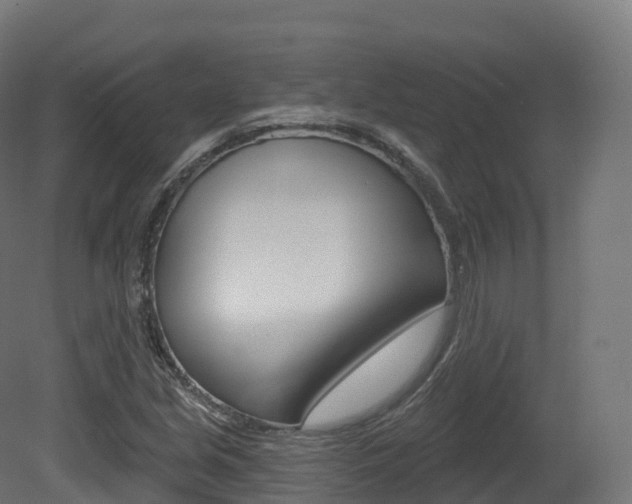 X0000081501213200701121130