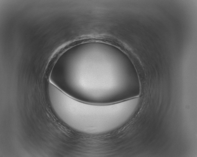 X0000081501214200701121130