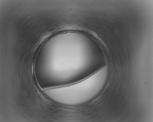 X0000081501221200701121130