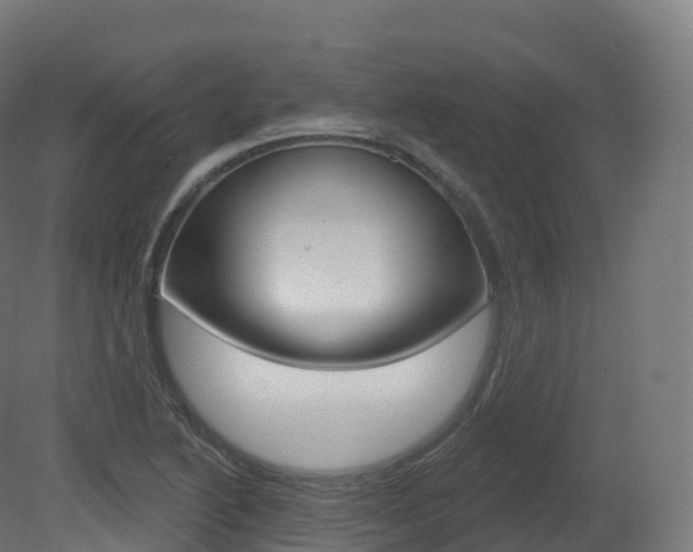 X0000081501222200701121130