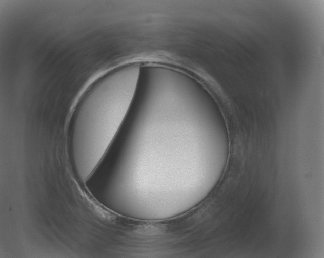 X0000081501224200701121130