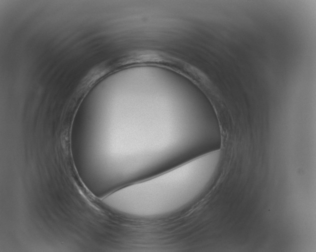 X0000081501225200701121130