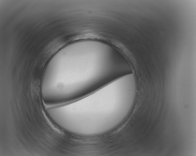X0000081501233200701121130