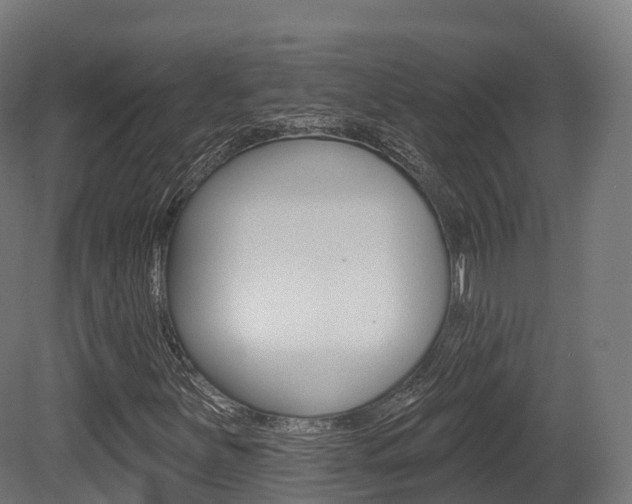 X0000081501251200701121129