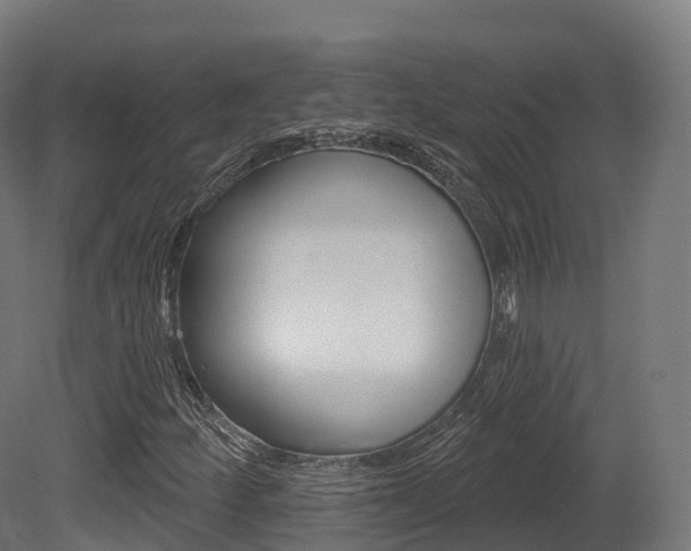 X0000081501252200701121129