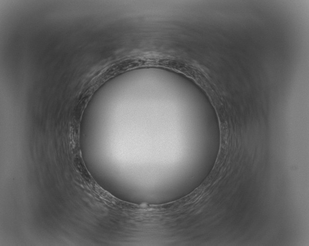 X0000081501253200701121129