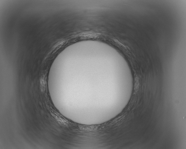 X0000081501254200701121129