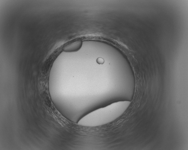 X0000081501255200701121129