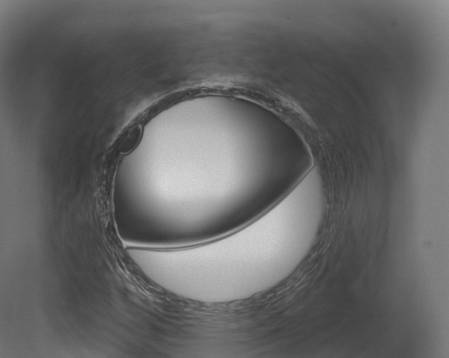 X0000081501256200701121129
