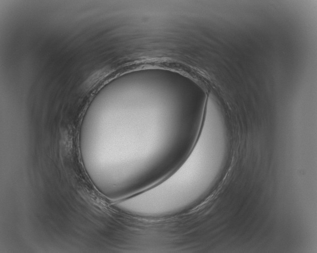 X0000081501257200701121129