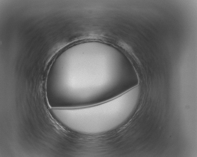 X0000081501260200701121129