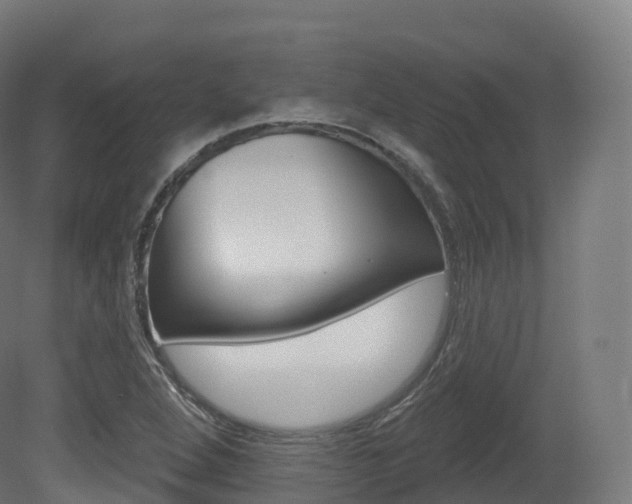 X0000081501264200701121129