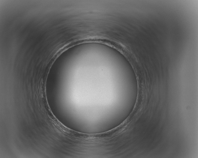 X0000081501265200701121129