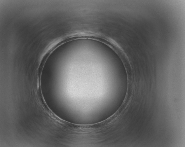 X0000081501269200701121129