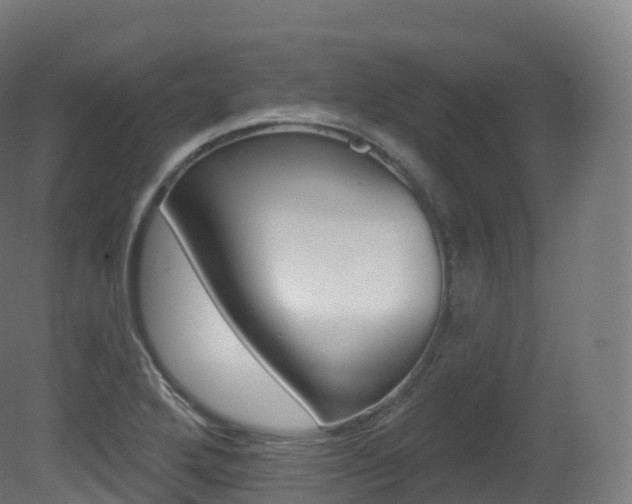X0000081501272200701121129
