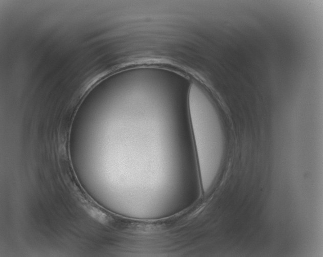 X0000081501273200701121129