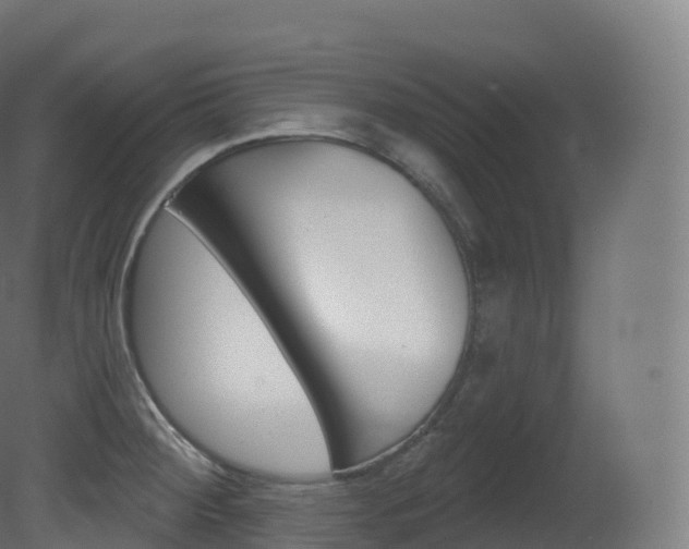 X0000081501284200701121129