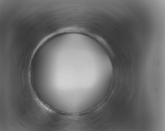 X0000081501288200701121129