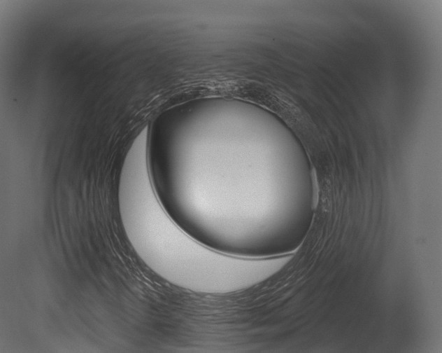 X0000081501298200701121128