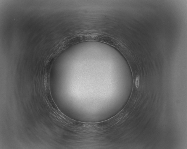 X0000081501299200701121128