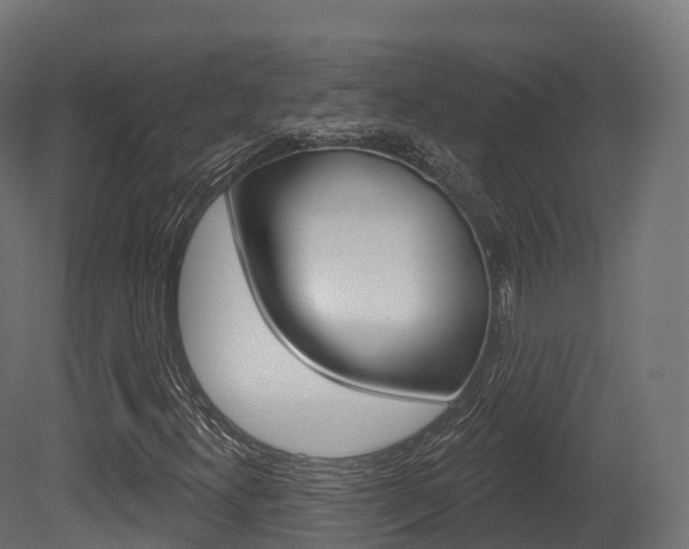 X0000081501300200701121128