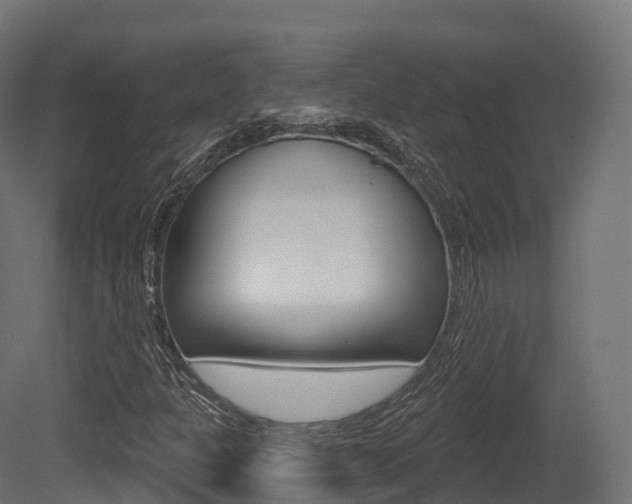 X0000081501301200701121128