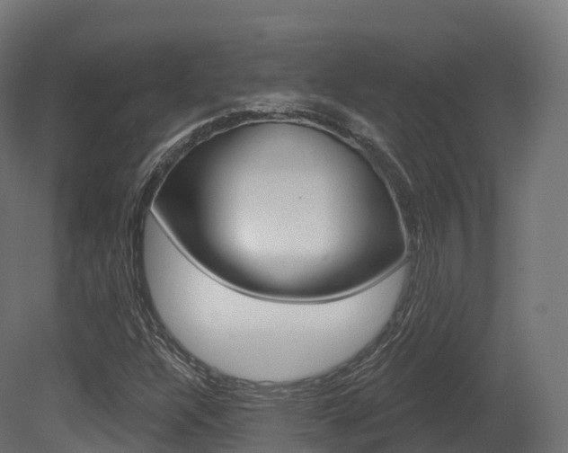 X0000081501304200701121128