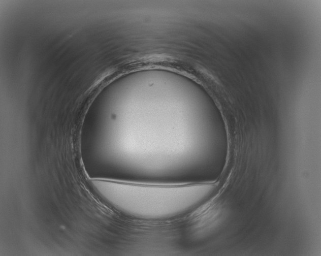 X0000081501305200701121128