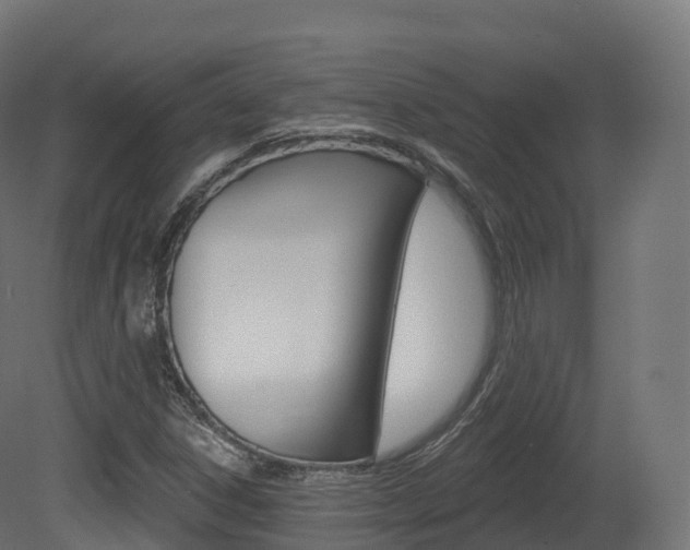 X0000081501306200701121128
