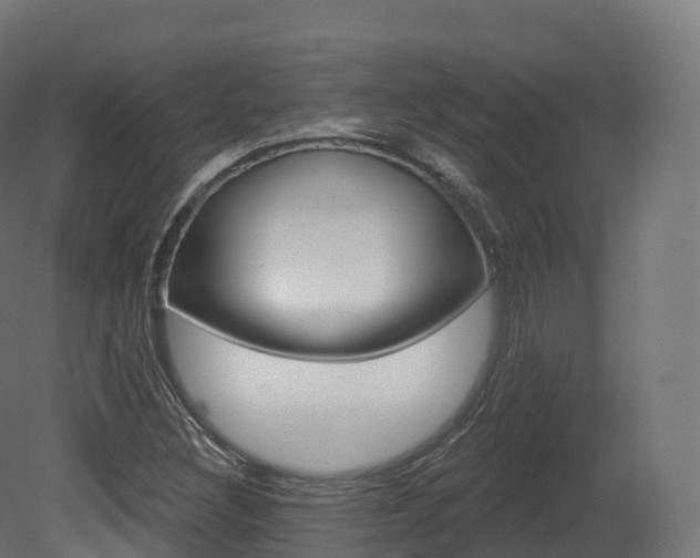 X0000081501308200701121128