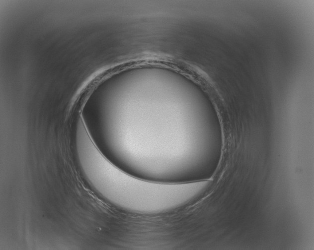 X0000081501310200701121128