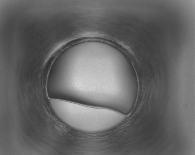 X0000081501311200701121128