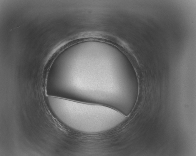 X0000081501312200701121128