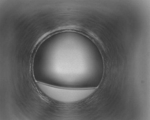 X0000081501316200701121128
