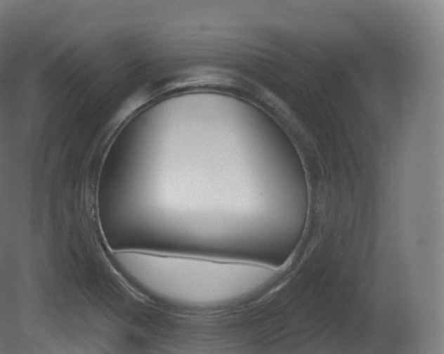 X0000081501321200701121128