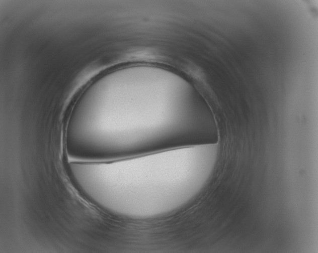 X0000081501323200701121128