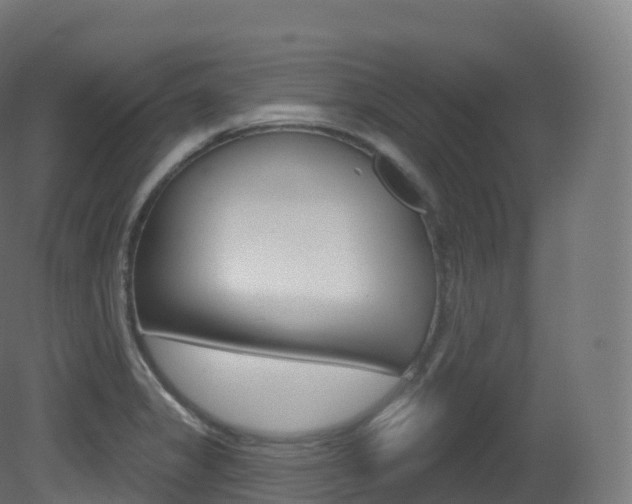 X0000081501325200701121128