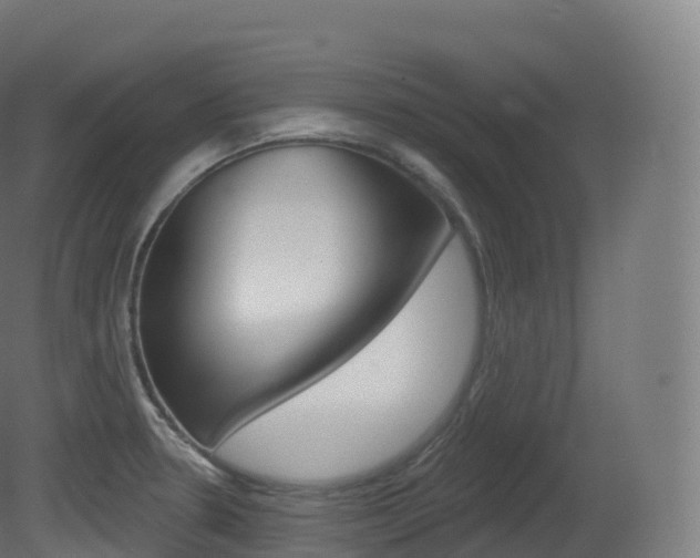 X0000081501330200701121128