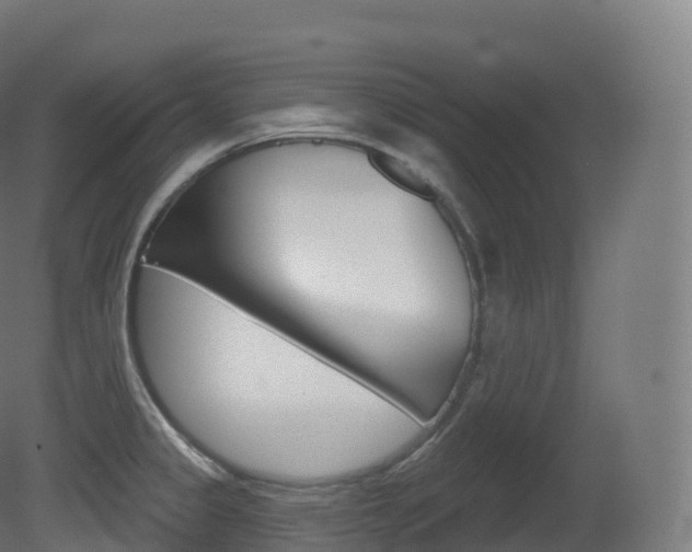 X0000081501333200701121128
