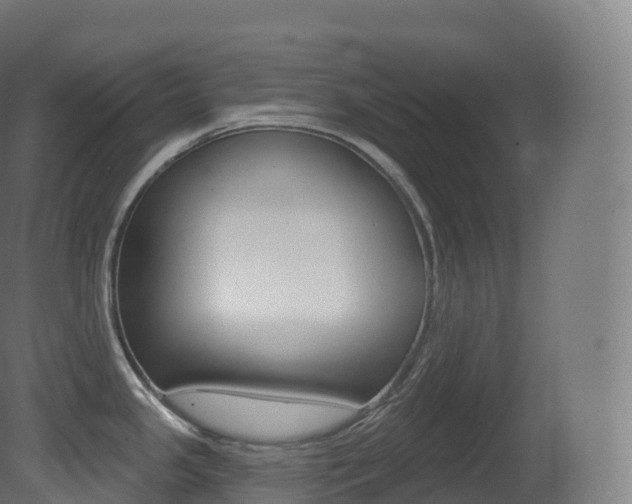 X0000081501341200701121128