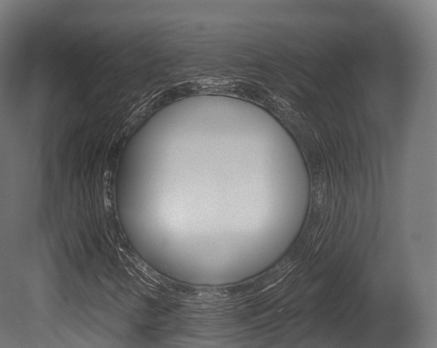X0000081501346200701121128
