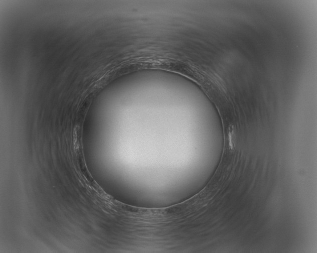X0000081501347200701121128