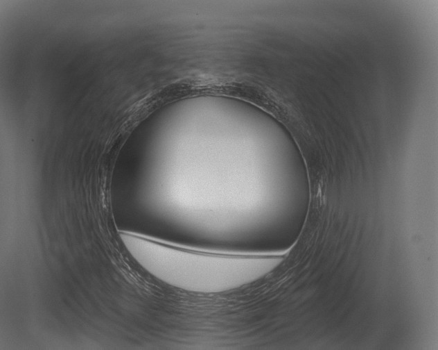 X0000081501348200701121128