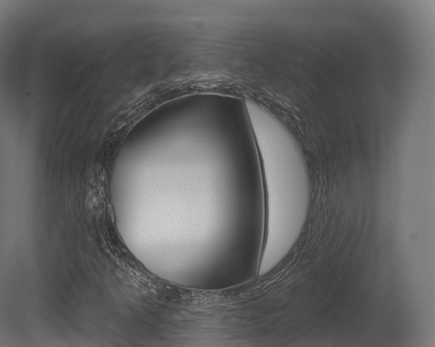 X0000081501349200701121128
