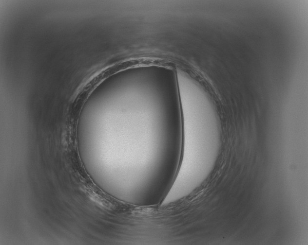 X0000081501352200701121128