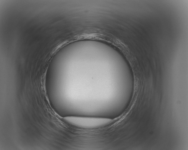 X0000081501353200701121128