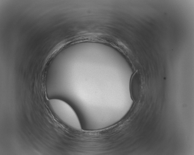 X0000081501354200701121128