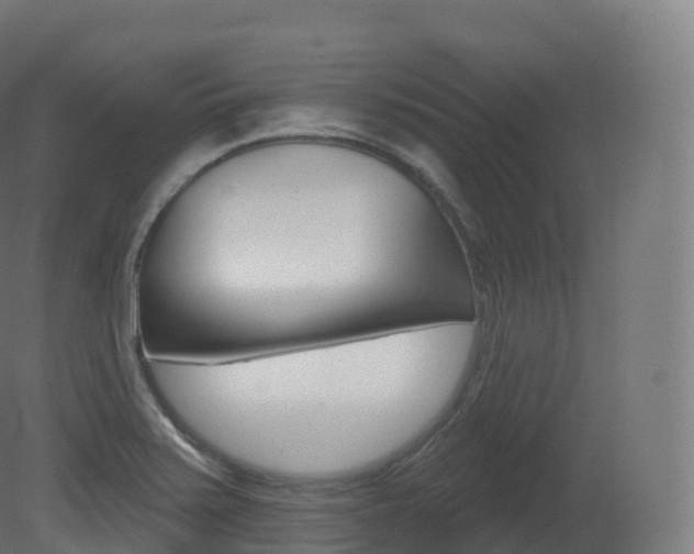 X0000081501371200701121127